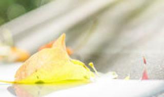 甜心格格动画片全集